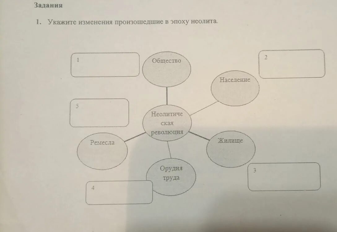 Укажите изменения которые произошли. Укажите изменения которые произошли
