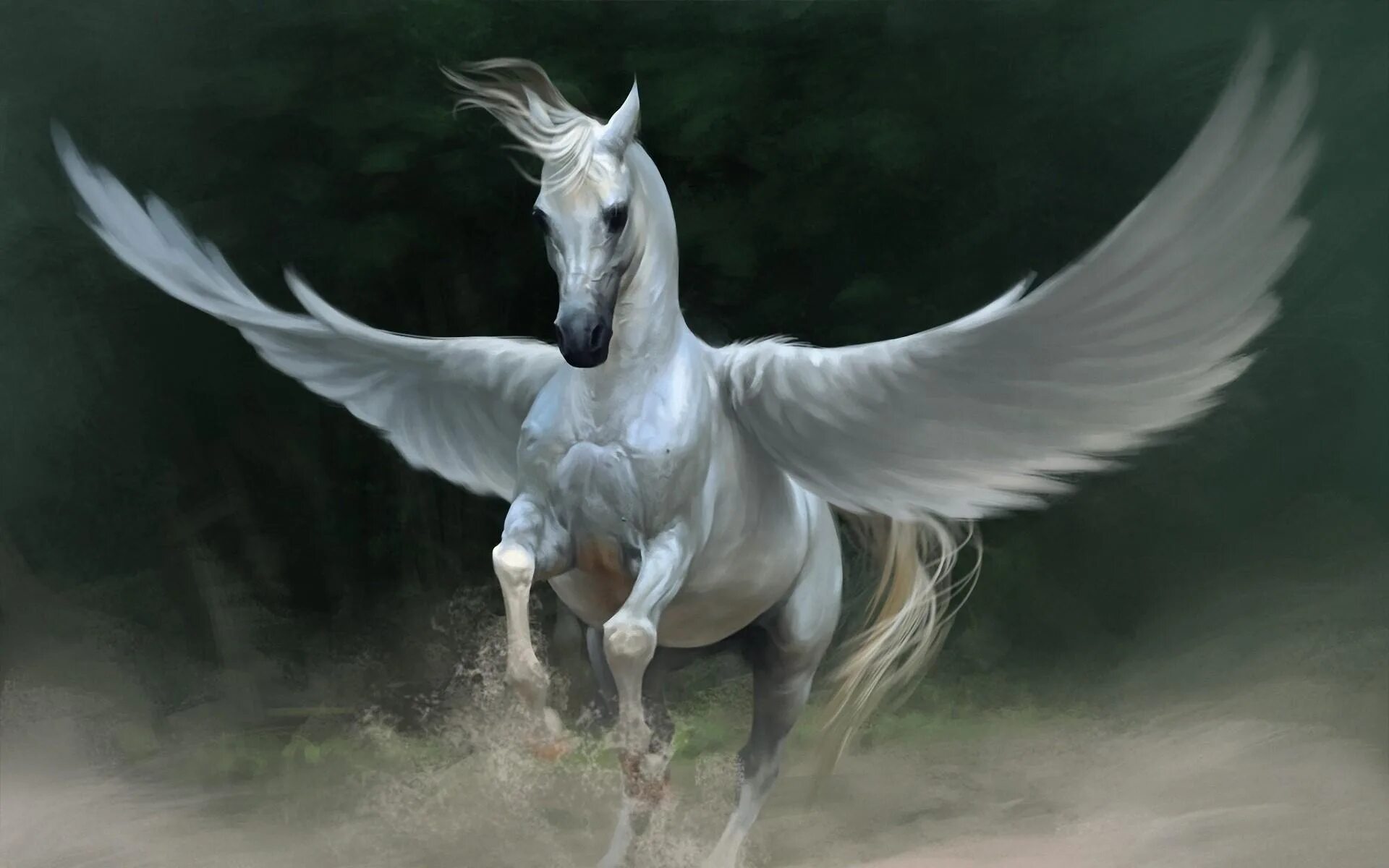 Крылья пегаса 3 4. Мифический крылатый конь Пегас. Акбузат конь крылатый. Пегас Пегий. Пегас древнегреческая мифология.