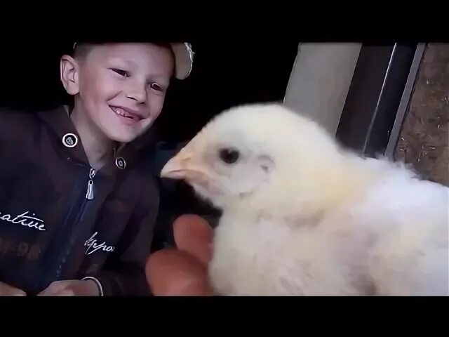 Цеплешь. Цеплешь