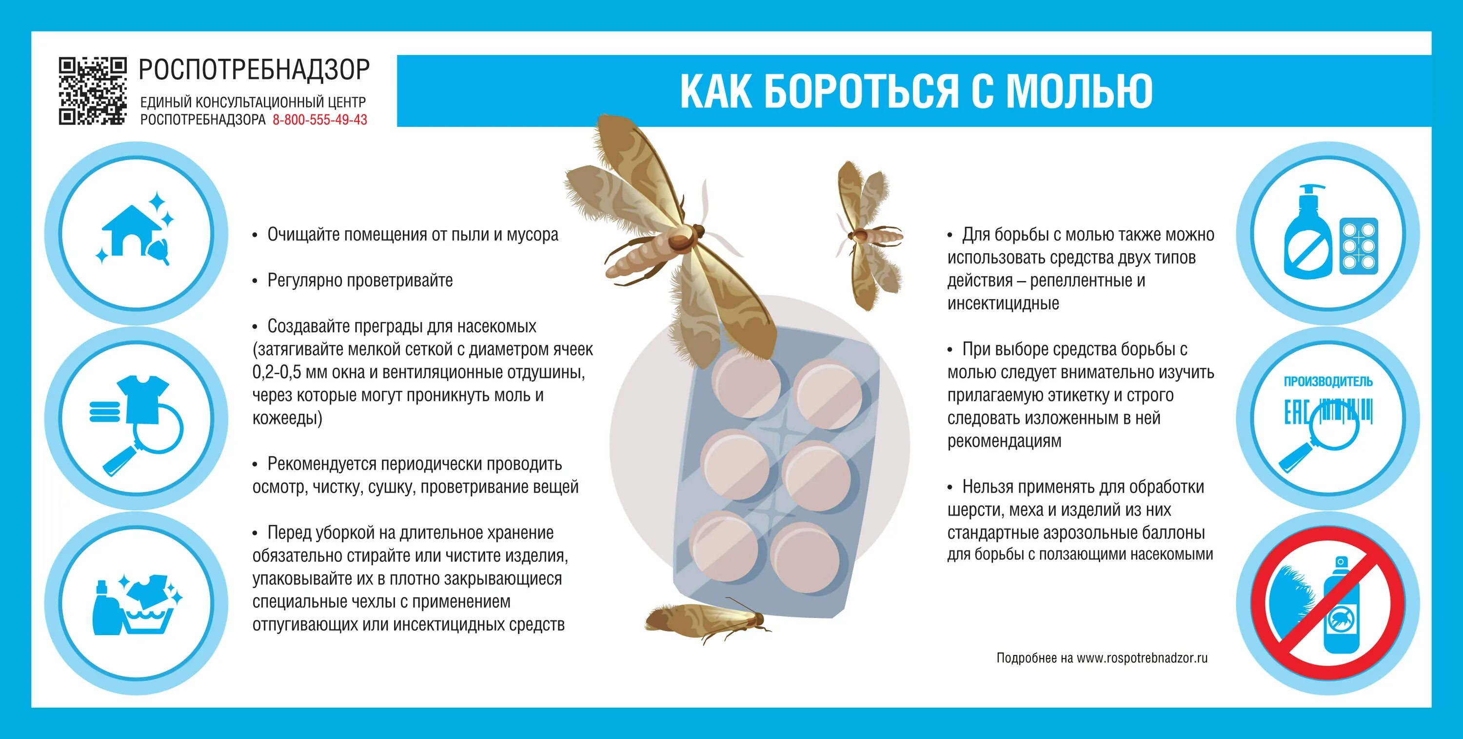 Как вывести моль в квартире. Как бороться с молью. Средство для моли. Борьба с молью в квартире. Народные средства от моли.