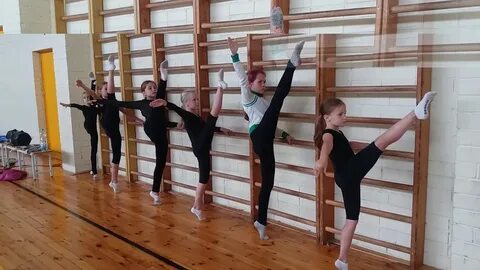 Спортивная гимнастика спортивный лагерь
