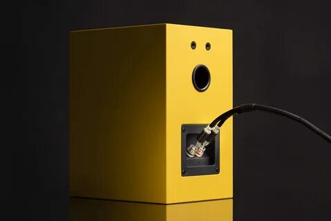 Acoustic pro
