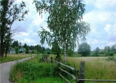 Песни две березки у дороги