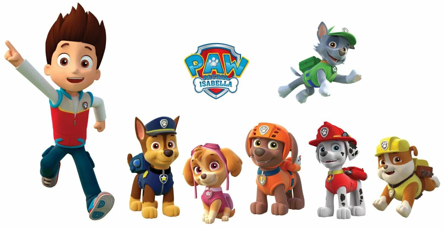 Герои щенячьего патруля. Paw Patrol Райдер. Щенячий патруль Райдер и щенки. Щенячий патруль герои Райдер. Патруль Шен Щенячий патруль.