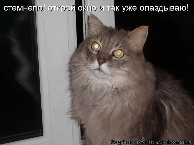 Лампочки зажигаются когда встречаешь человека. Пока не стемнело. Пока не стемнело. Смешные картинки про выходные. Пока не стемнело.