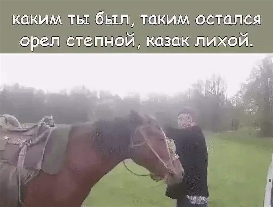 Песню какой я был такой остался. Песня казак лихой орел степной. каким ты был таким остался. слова казак лихой орел степной. слова песни казак лихой орел степной.