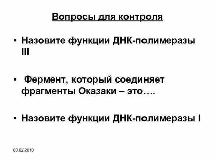 Функция днк полимеразы
