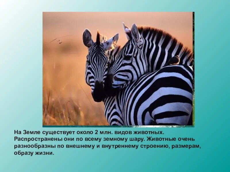 Будете очень разнообразно и