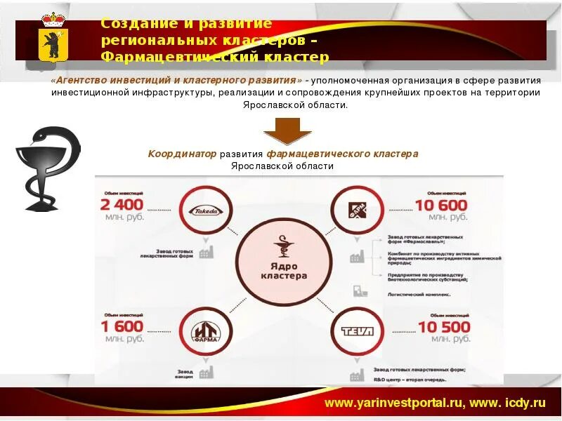 Глава Ярославской области обсудил с переславцами комплексный план развития город