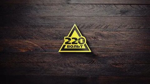 Франшиза 220 вольт