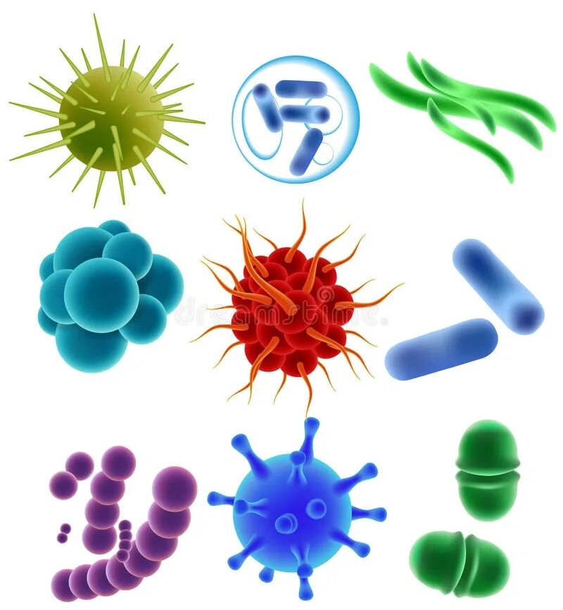 Микробы вирусы бактерии. Вирусы бактерии микробы. Бактерии и вирусы рисунок. Изображение вирусов и бактерий. Вирусы бактерии микроорганизмы.