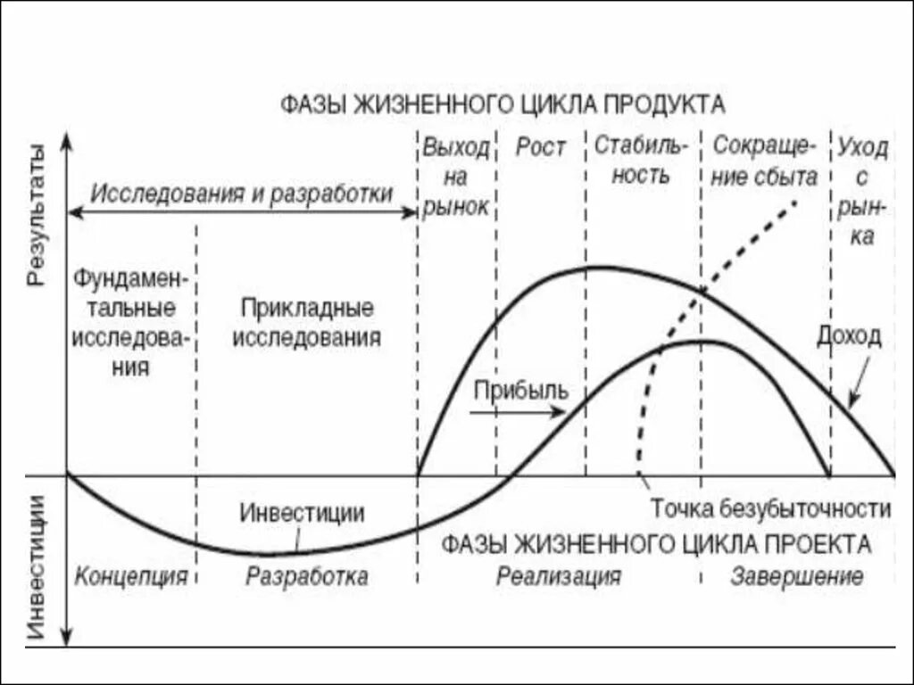 Жизненный цикл культуры