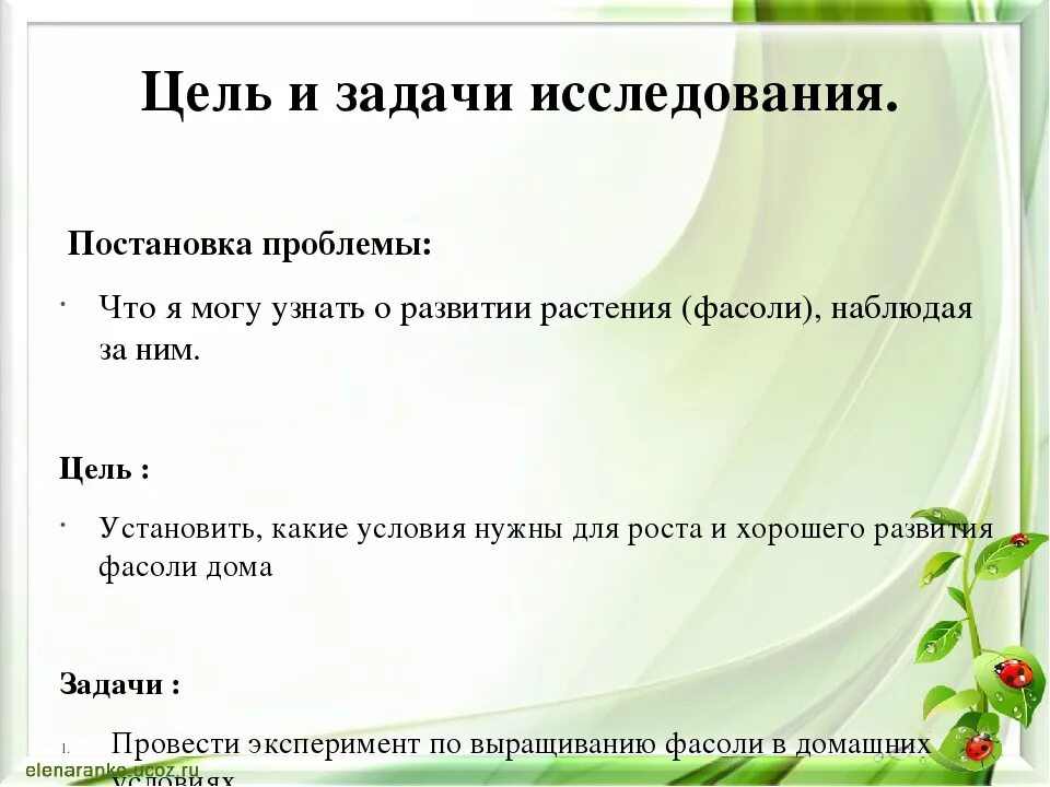 Фасоль работа. Проектная работа фасоль растет. проект выращивание фасоли. выращиваем фасоль исследовательский проект. проект проращивание фасоли.