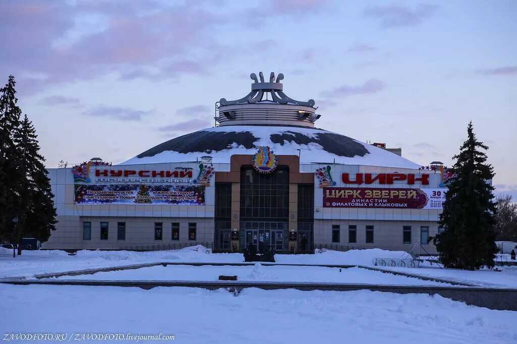 Цирк курск купить. Курский государственный цирк Курск. Здание цирка в Курске. Курск цирк площадь. Старый цирк Курск.