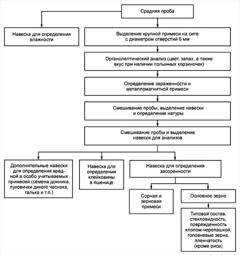 Навеска для анализа. Схема отбора проб зерна. Отбор точечных проб зерна. Схема отбора точечных проб. Схема отбора точечных проб зерна из зерносклада.