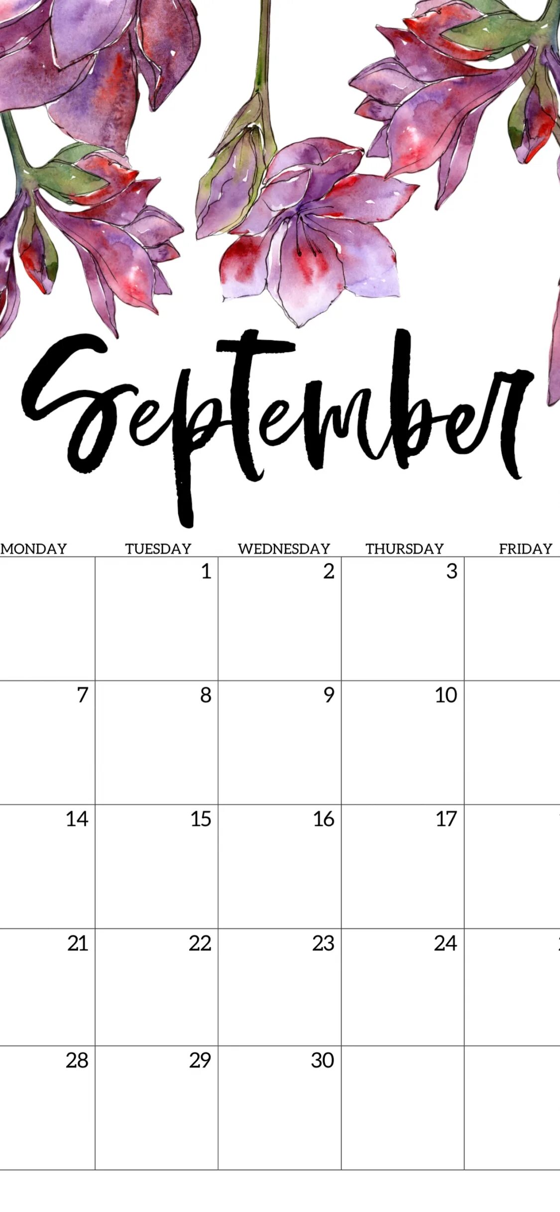 Календарь сентябрь. Красивый календарь на сентябрь. Календарь на сентябрь месяц. Оформление календаря на сентябрь. Расписание 25 сентября