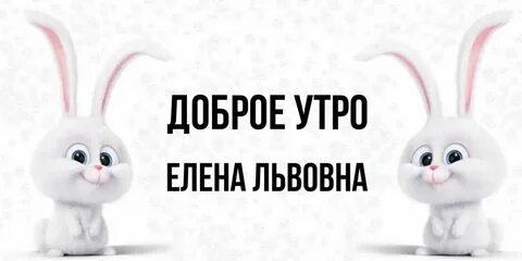 Песня зай тебя я люблю
