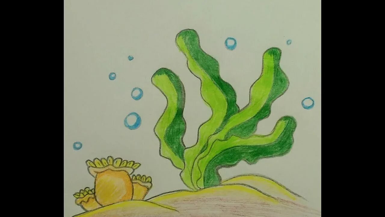 Как рисовать водоросли. Водоросли рисунок легкий. водоросли детский рисунок. нарисовать водоросли поэтапно. поэтапное рисование водоросли для дошкольников.