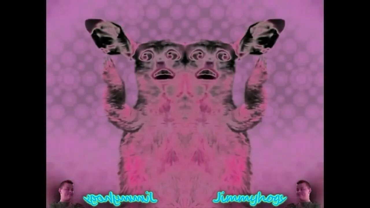 Preview 2 numa cat effects. Preview 2 numa cat 2025 effects (inspired by preview 2 effects). numa numa. кошка танцует. preview 2 numa cat effects (preview 2 effects) in m major (split version).