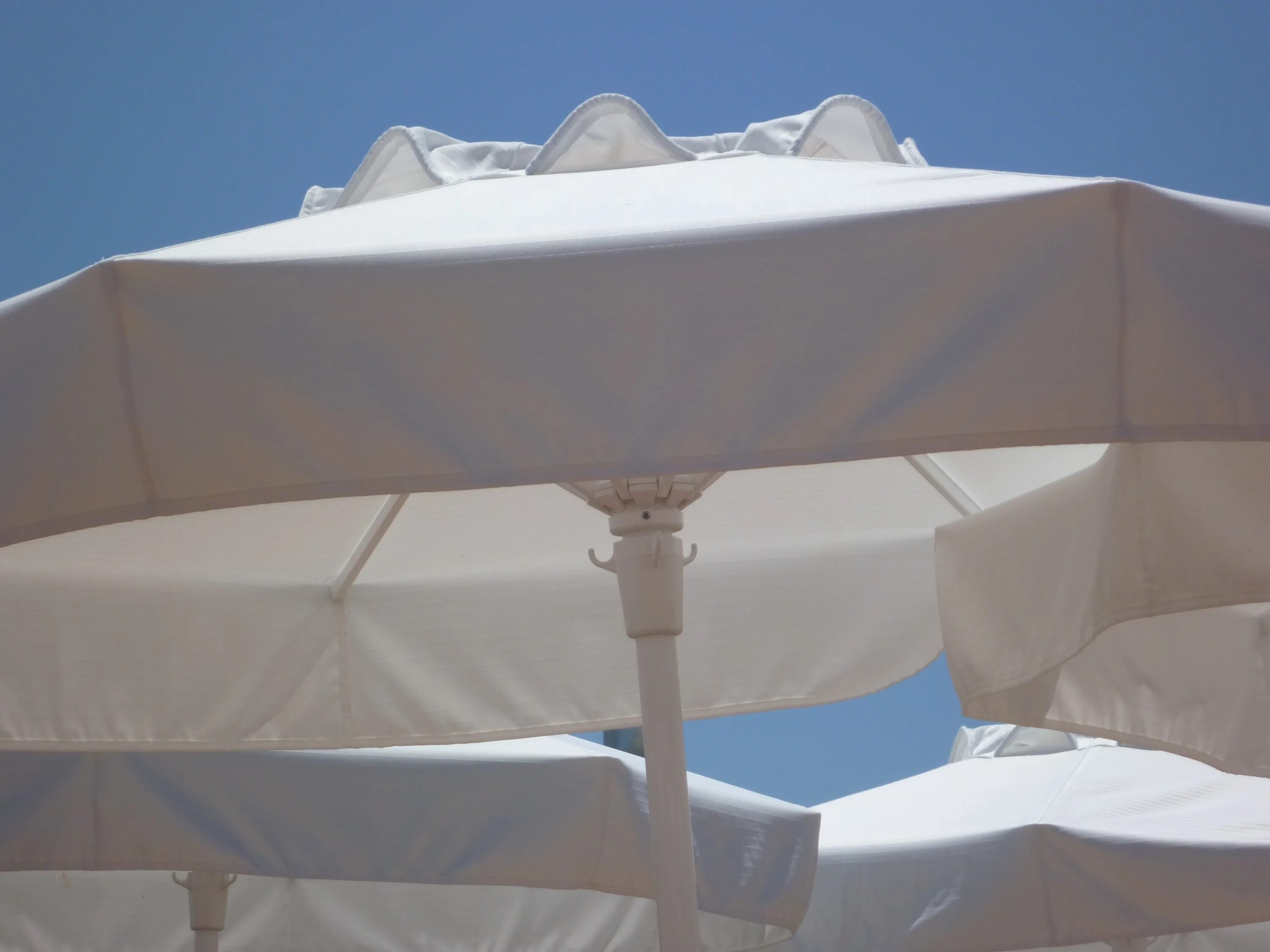 White shade