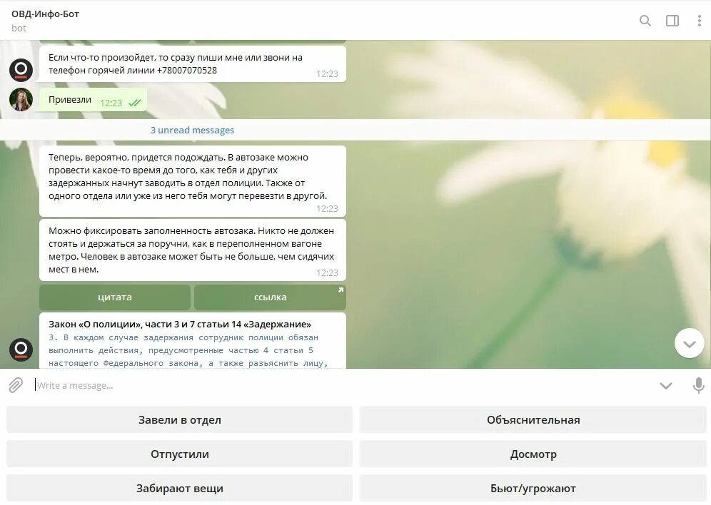 Бот инфо. Авинфобот телеграмм. Промокод avinfobot. Промокод avinfobot. Отчет avinfobot.