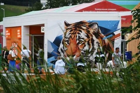 Регистрация на выставку улицы дальнего востока