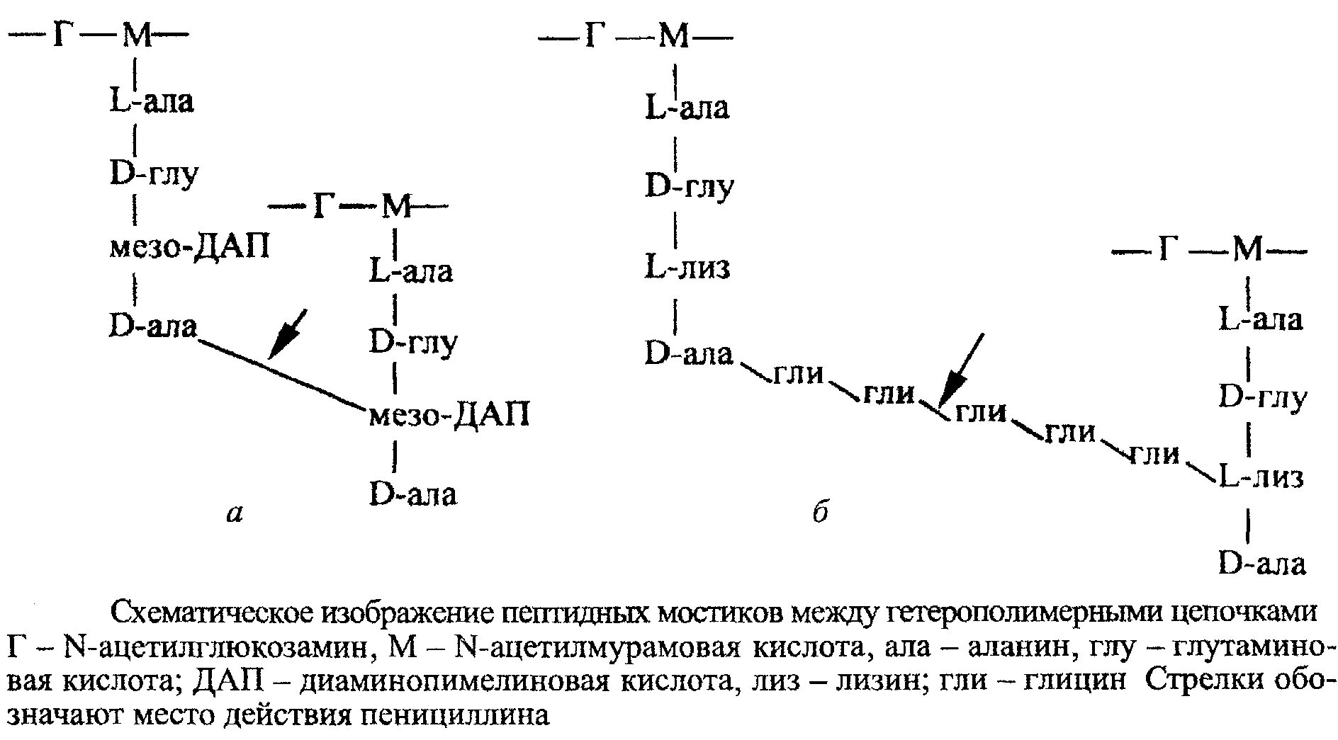 Ала глу