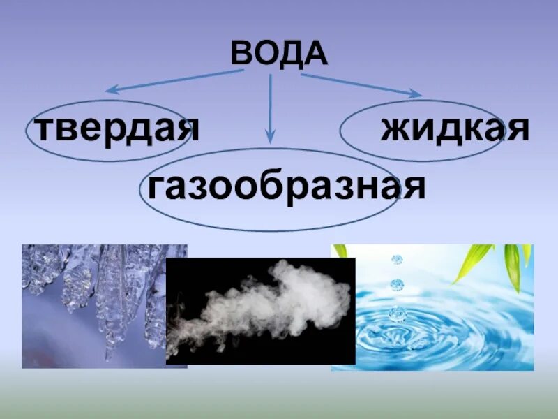 Рисунки состояния воды. Вода в твердом жидком и газообразном состоянии. Вода жидкая твердая газообразная. Газообразное состояние воды. Три состояния воды.