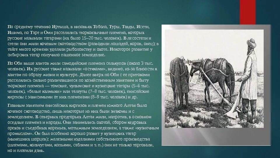 Народы сибири история россии 7 класс. Роль народов Сибири. Роль народов Сибири в истории России. Народы Сибири история. Народы Сибири кратко.