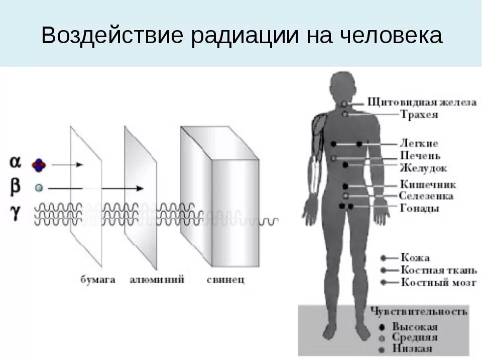 Схема действия ионизирующего излучения на организм человека. Влияние радиационного излучения на организм. Схема влияния ионизирующего излучения на человека. Виды воздействия ионизирующего излучения на организм человека.