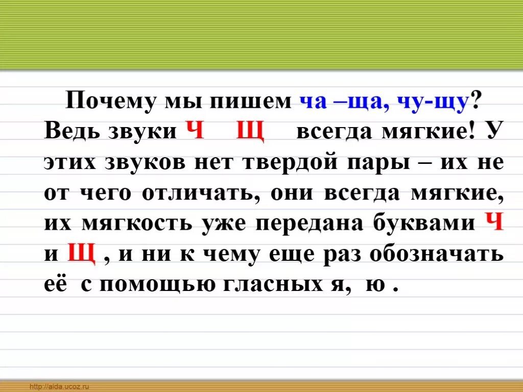 Слова на чу щу 1 класс. Жи ши ча ща Чу ЩУ ЧК ЧН. ЖИШИ чащачущучкчн. Сочетания жи ши ча ща Чу ЩУ ЧК ЧН. Орфограмма жи ши ча ща Чу ЩУ.