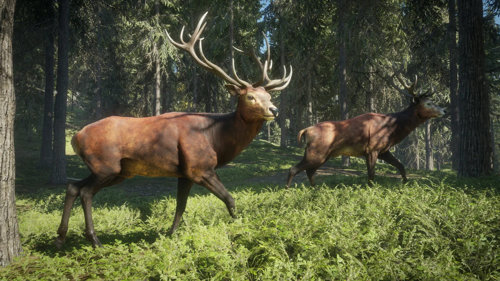 Call hunting. Thehunter: call of the wild. игра охота the hunter call of the wild. the hunter 2017. парнокопытные.