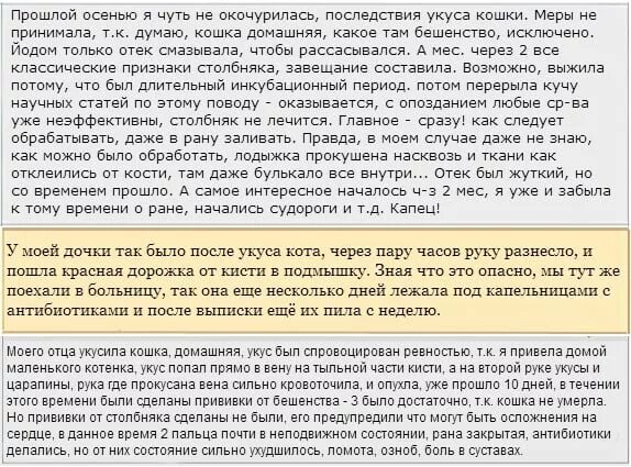 Укус собаки отек. Что делать если укусила кошка. Что делать если укусил кот. Что делать при укусе кота. Что делать если укусил домашний кот.