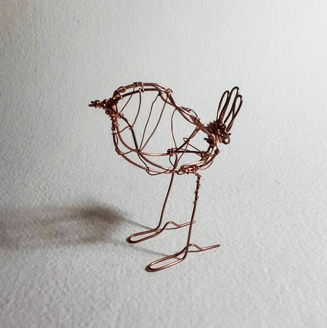 Wire video