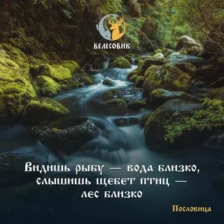 Пословица рыба в воде