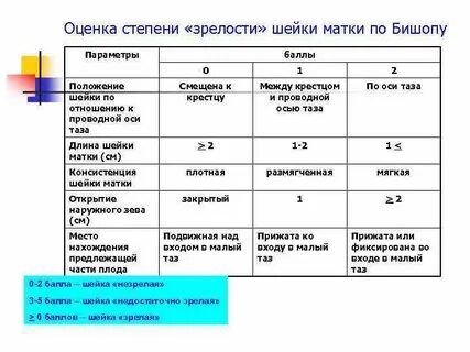 Шкала бишопа зрелость