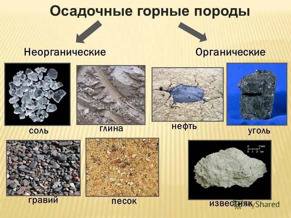 Какие вы знаете полезные ископаемые 5. Осадочные горные породы 5 класс география. Осадочные органические горные породы география 5 класс. Осдачное горное парода. Осадочные гороны е орды.