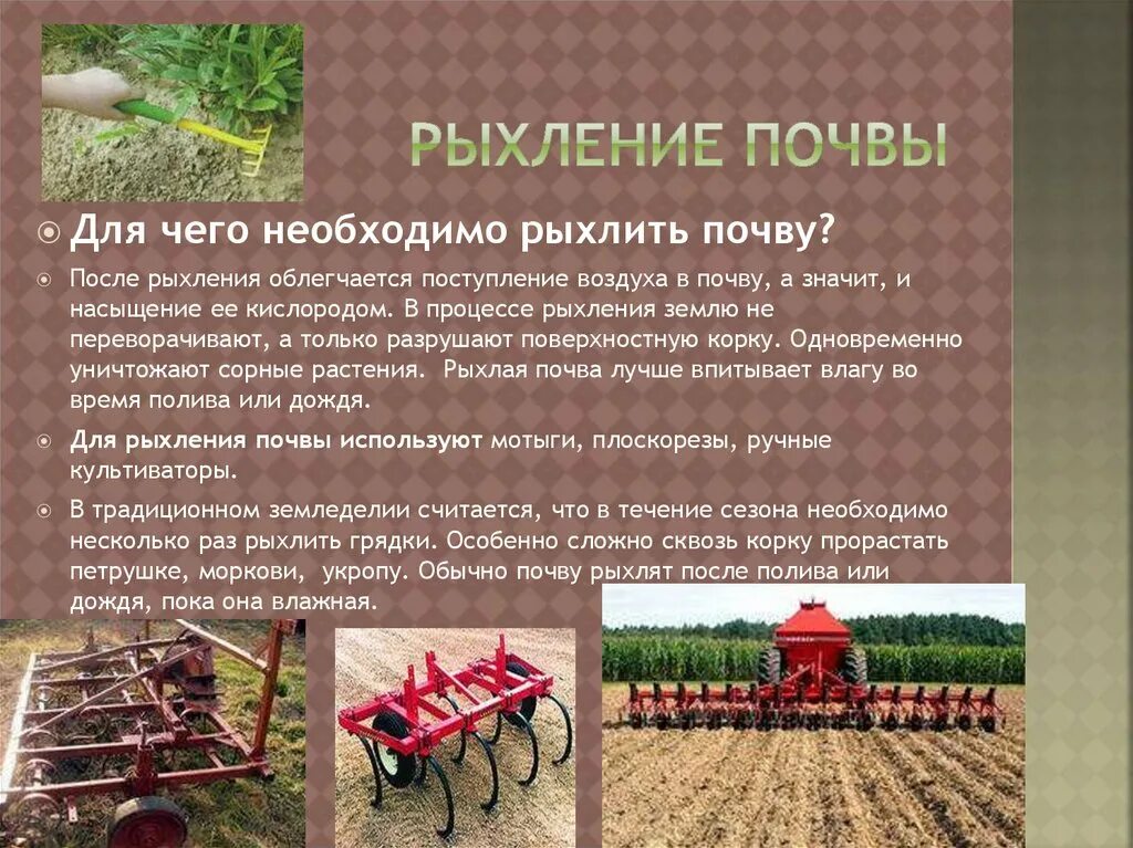 Почему рыхление почвы называют сухой поливкой каковы. Глубокорыхление почвы. рыхление почвы. чем рыхлить почву. для чего нужно рыхление почвы.