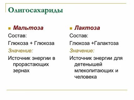 Углеводы состоят из