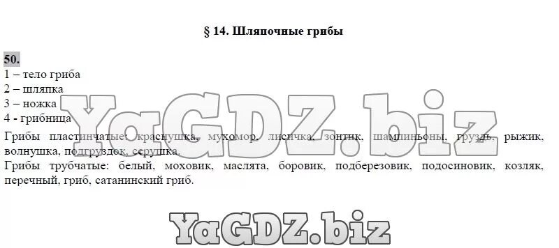 Лабораторная работа шляпочные грибы 7 класс. Лабораторная работа строение плодового тела шляпочного гриба. Строение шляпочного гриба. Лабораторная работа по биологии строение шляпочного гриба. Лабораторная работа строение шляпочного гриба.