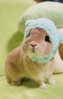 Really cute