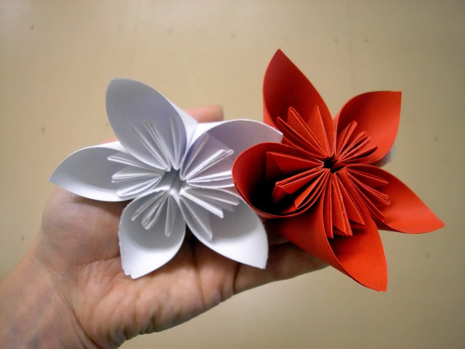 Цветы из бумаги поэтапно легко. Цветы из бумаги. Объемные цветы. Объемные цветочки из бумаги. Оригами цветок.