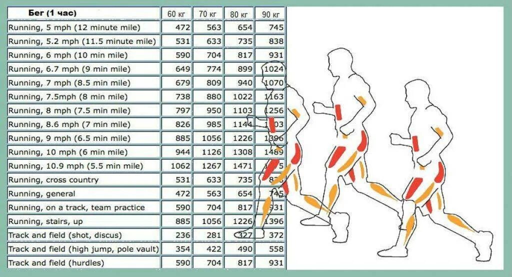Сколько калорий спортсмену. Сколько калорий сжигается при беге 5 км. Сколько сжигается калорий при беге 5 ки. Количество сжигаемых калорий при беге. Сколько сжигается калорий при беге 10 км.