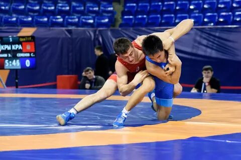 Спортивная борьба 18