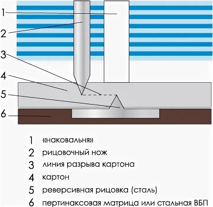 Биговка по кривым линиям 2 класс рыбка. Биговка по кривым линиям 2 класс рыбка
