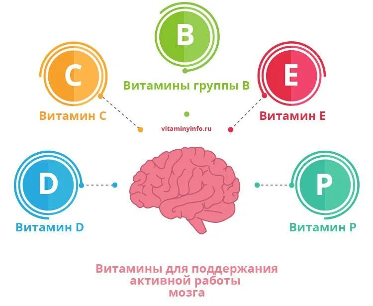 Какие продукты улучшают кровообращение. Витамины для мозговой деятельности и памяти взрослым. Какой витамин улучшает память и работу головного мозга. Какие витамины нужны для памяти и работы мозга. Какой витамин развивает память.