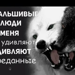 Картинки фальшивые люди