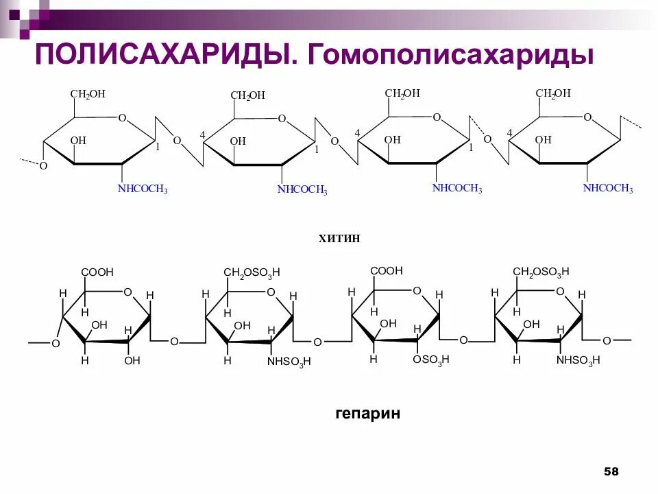 Глюкоза молекула полисахарида. Полисахариды формула крахмала. Полисахариды строение хитин. Полисахариды гомополисахариды. Крахмал Целлюлоза гликоген хитин.