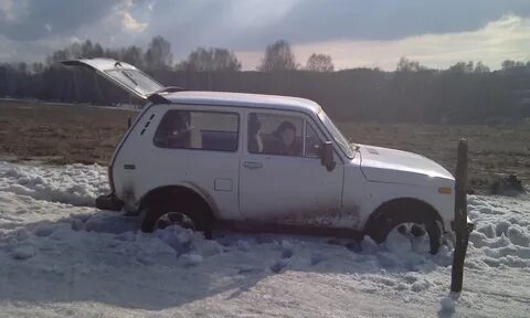 Газель холодно