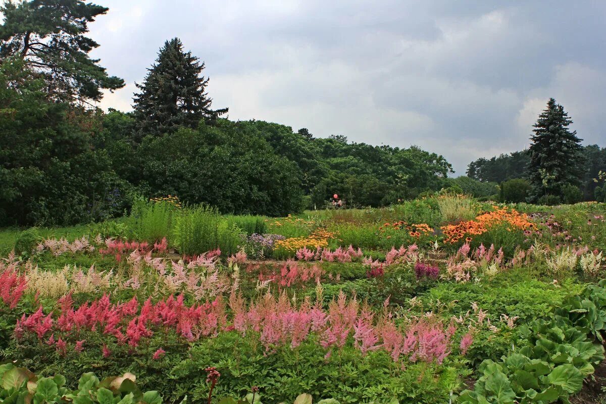 интродуцированные виды животных. интродукция растений и животных. минск ботанический сад лето.